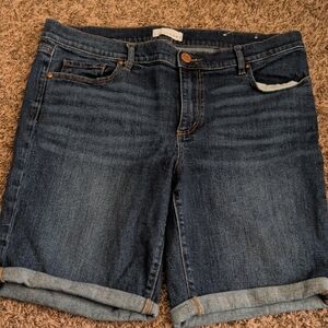 LOFT Dark Blue Denim Jean Shorts